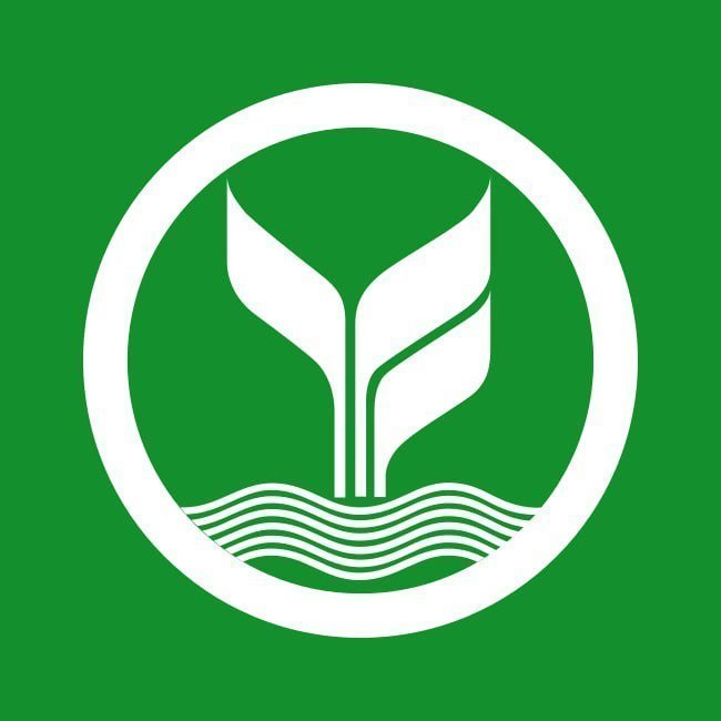 MVPGT168